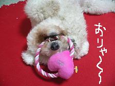 画像 1440.jpg