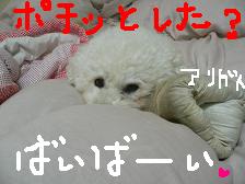 画像 1444.jpg
