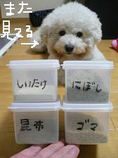 画像 1445.jpg