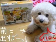画像 1446.jpg
