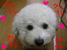 画像 1448.jpg