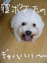 画像 1450.jpg