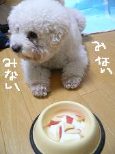 画像 1456.jpg