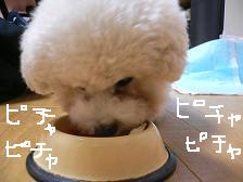 画像 1458.jpg