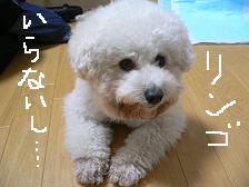 画像 1460.jpg