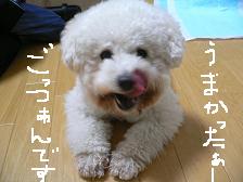 画像 1461.jpg