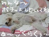 画像 1462.jpg