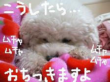 画像 1467.jpg