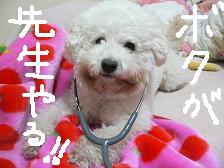 画像 1468.jpg