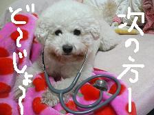画像 1470.jpg