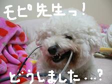 画像 1471.jpg