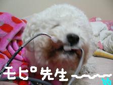 画像 1472.jpg