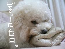 画像 1479.jpg