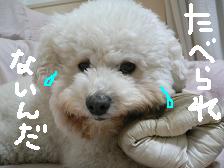 画像 1481.jpg