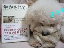 画像 1482.jpg