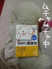 画像 1484.jpg