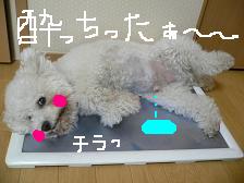 画像 1488.jpg