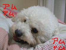 画像 1495.jpg