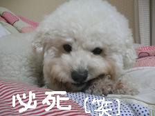 画像 1498.jpg