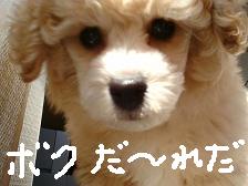画像 1510.jpg