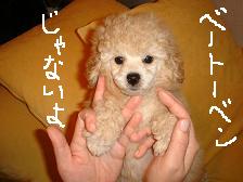 画像 1512.jpg