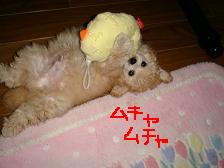 画像 1514.jpg