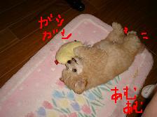 画像 1517.jpg