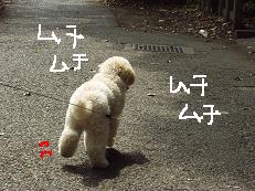 画像 1519.jpg