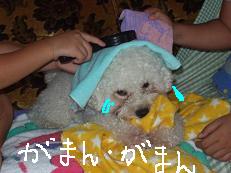 画像 1531.jpg