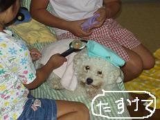 画像 1532.jpg