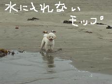 画像 1536.jpg