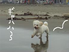 画像 1537.jpg