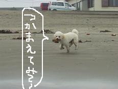 画像 1538.jpg