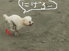 画像 1540.jpg