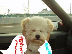 画像 1542.jpg