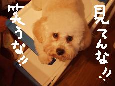 画像 1545.jpg