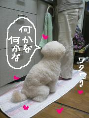 画像 1547.jpg