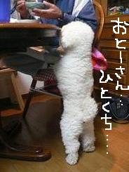 画像 1553.jpg