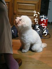 画像 1554.jpg