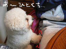 画像 1555.jpg