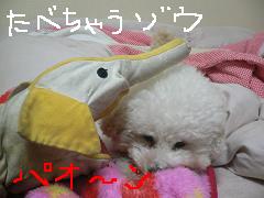 画像 1560.jpg