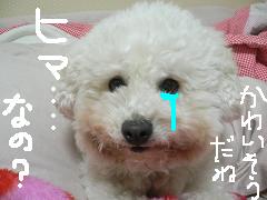 画像 1562.jpg
