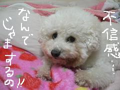 画像 1564.jpg