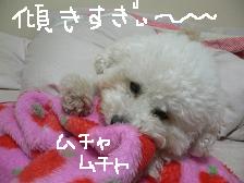 画像 1567.jpg