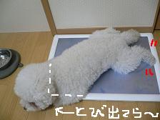 画像 1569.jpg