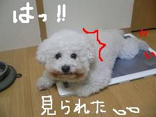 画像 1570.jpg
