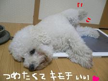 画像 1571.jpg