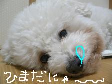 画像 1572.jpg
