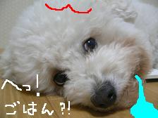 画像 1573.jpg