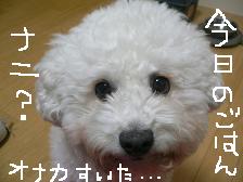 画像 1574.jpg
